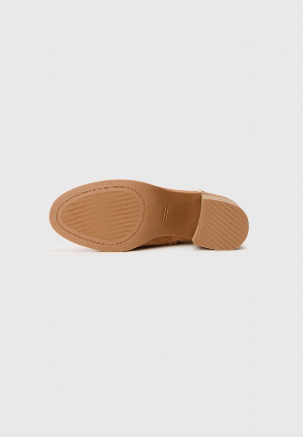 TOMS EVELYN