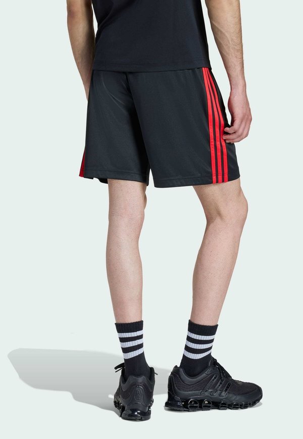 adidas Originals TEAMGEIST ADICOLOR