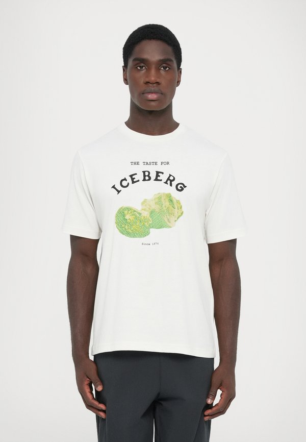 Iceberg