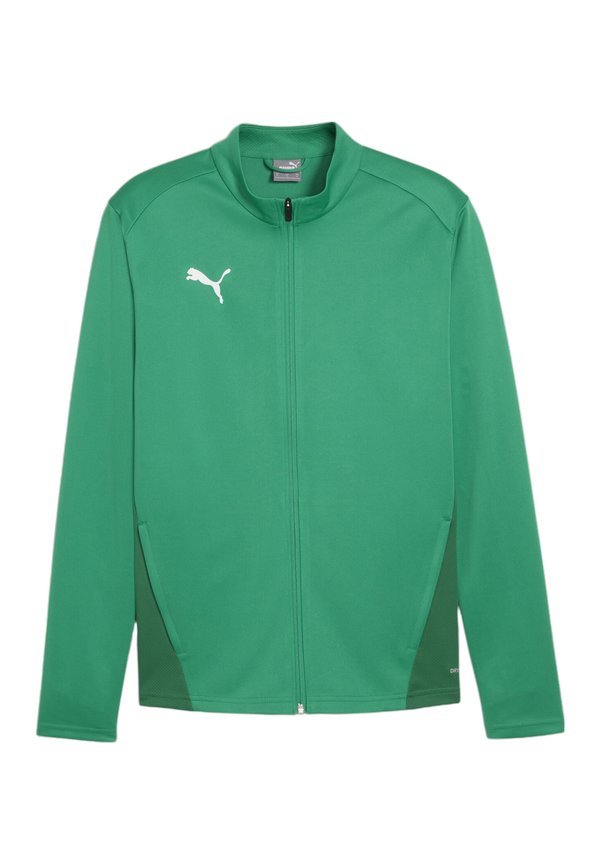Puma TEAMGOAL