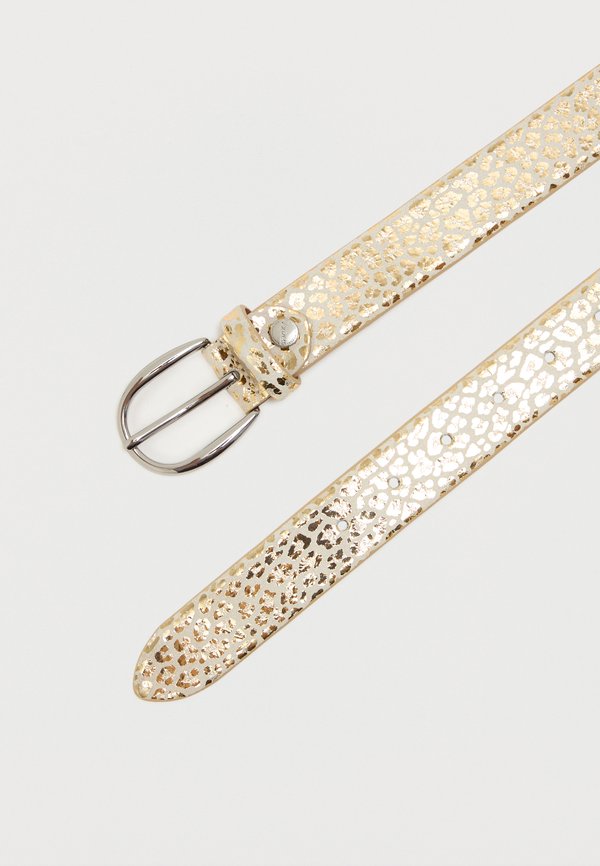 Vanzetti BELT