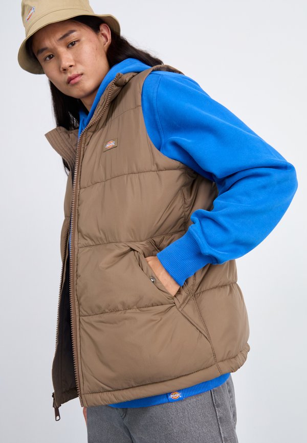 Dickies WALDENBURG VEST
