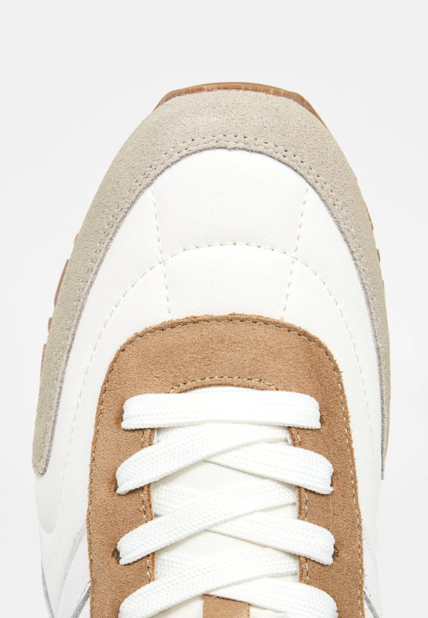 Pollini