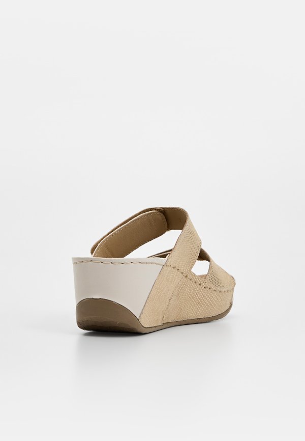 Scholl ABERDEEN