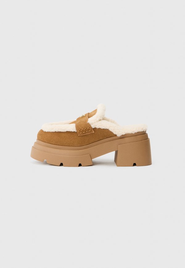 Steve Madden TURNPIKE