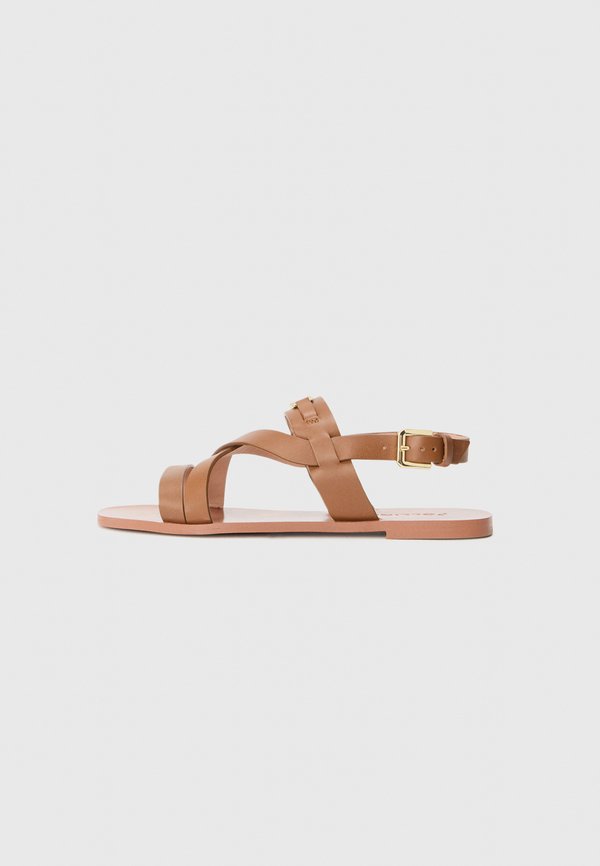 Pollini