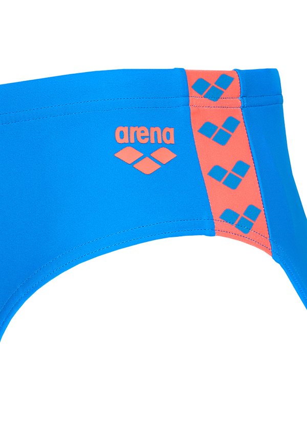 Arena ICONS