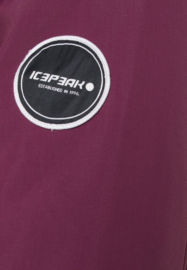 Icepeak ALNA