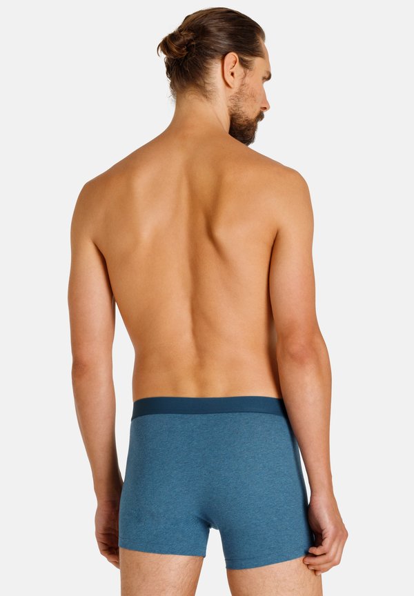 camano 2 PACK