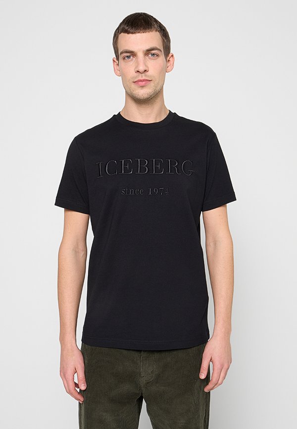 Iceberg