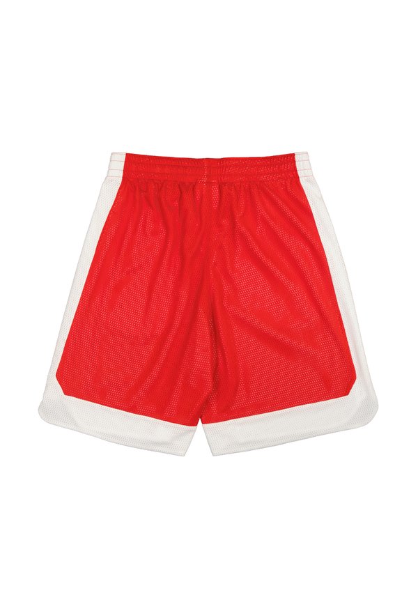 Champion BERMUDA AUTHENTIC