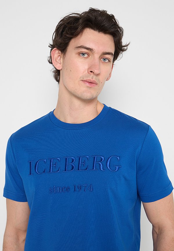 Iceberg