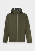 Aigle