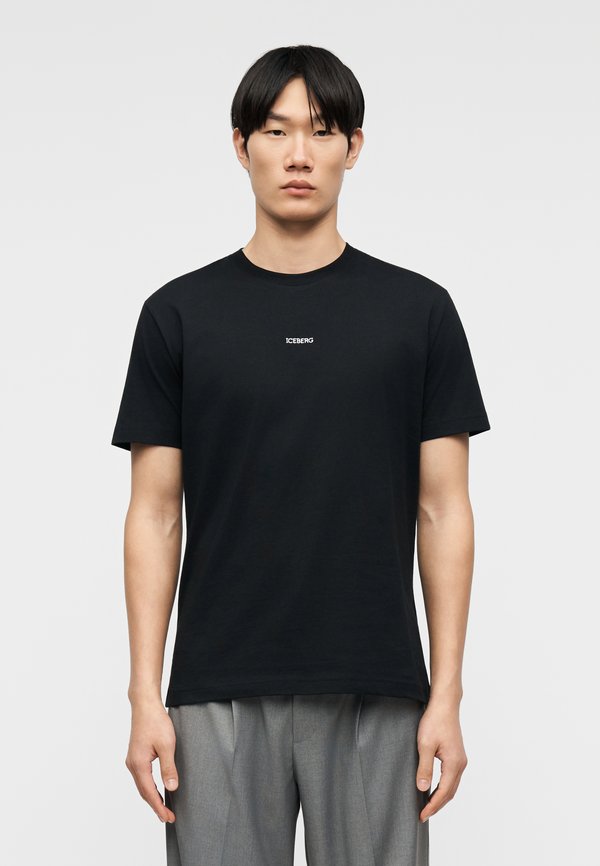 Iceberg