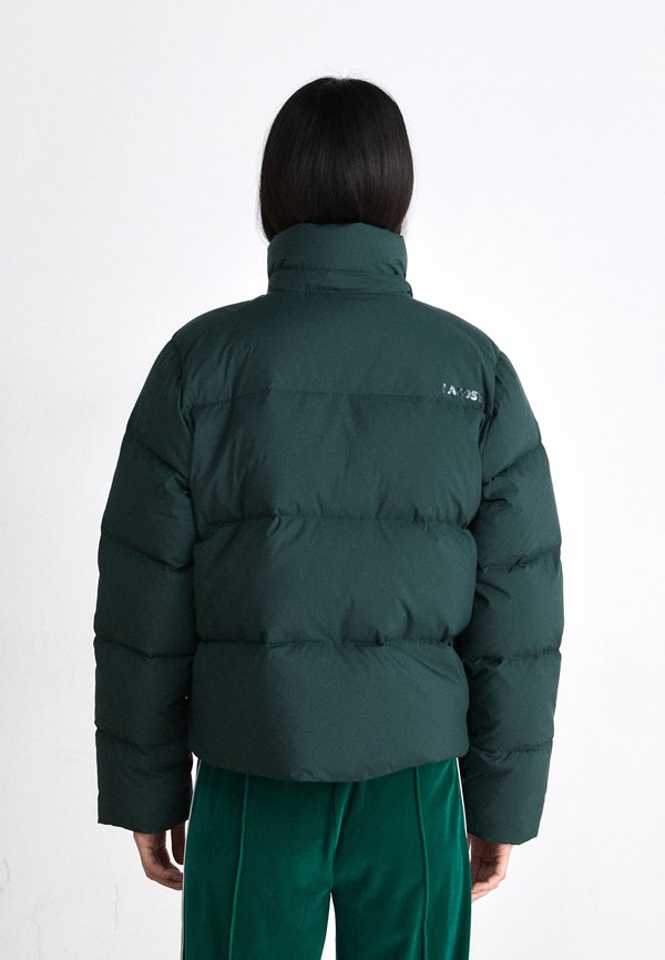 Lacoste BF3262_XFJ