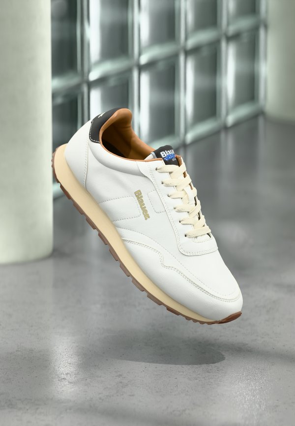 Blauer FALCON01