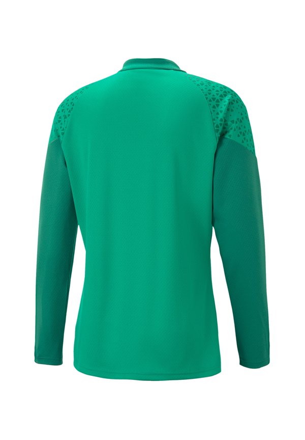 Puma FUSSBALL - TEAMSPORT - TEAMCUP HALFZIP SW