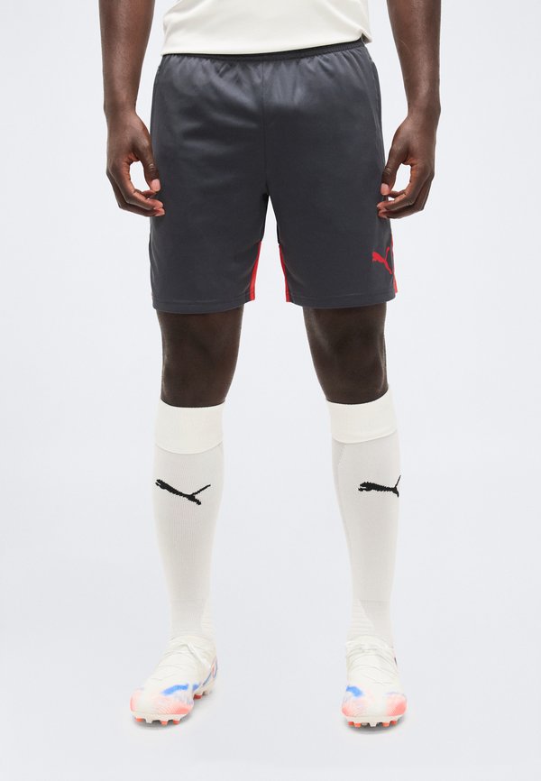 Puma INDIVIDUALLIGA TRAINING SHORTS - Sports shorts - gray echo/dusky gray/red