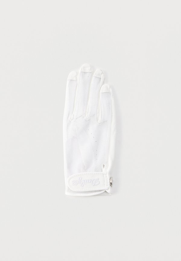 Daily Sports SUN GLOVE