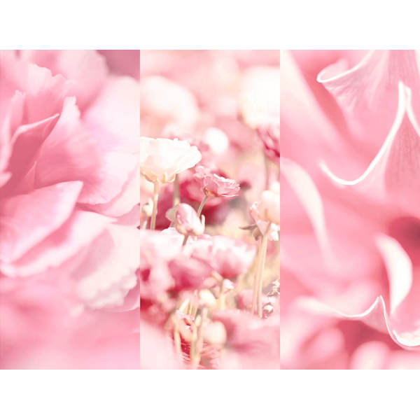 Deospray No.3 Velvet Blossom 8x4 women