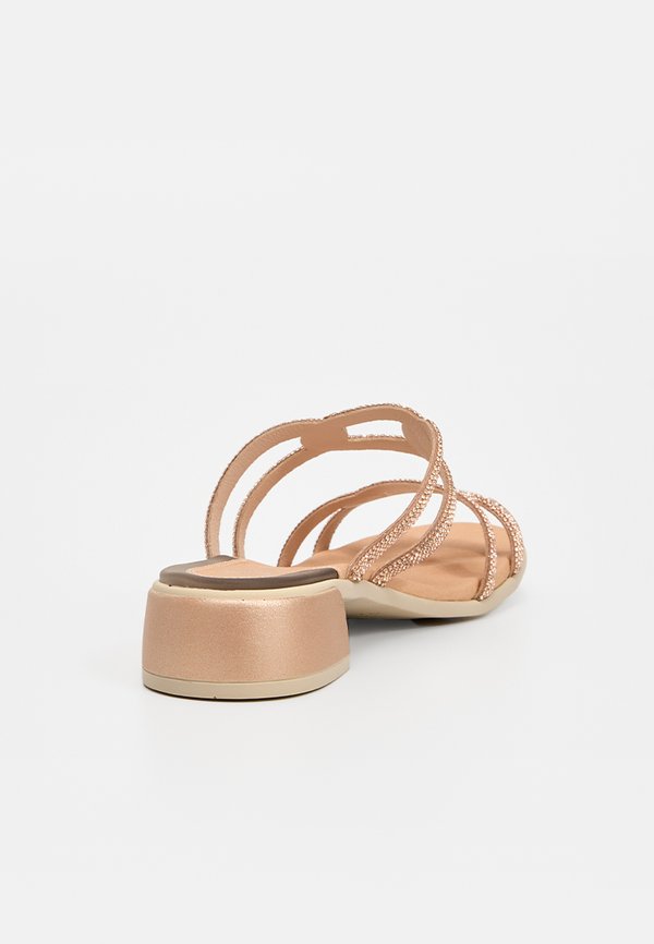Scholl LIPARI