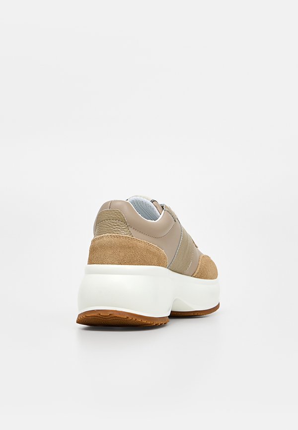 Pollini