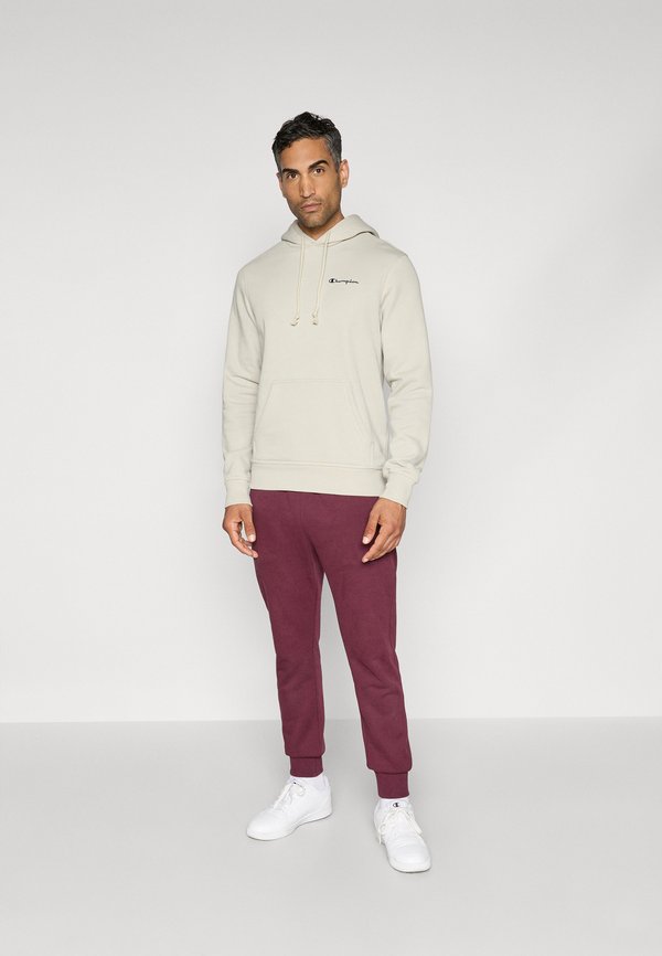Champion SPORTSWEAR HOODIE STANDARD FIT