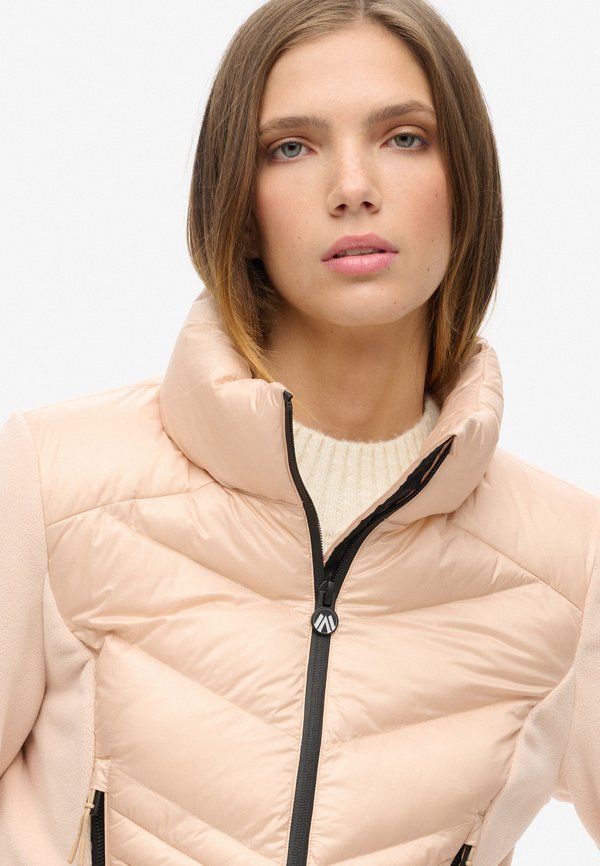 Superdry & Co