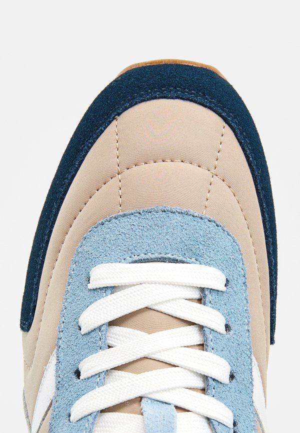 Pollini