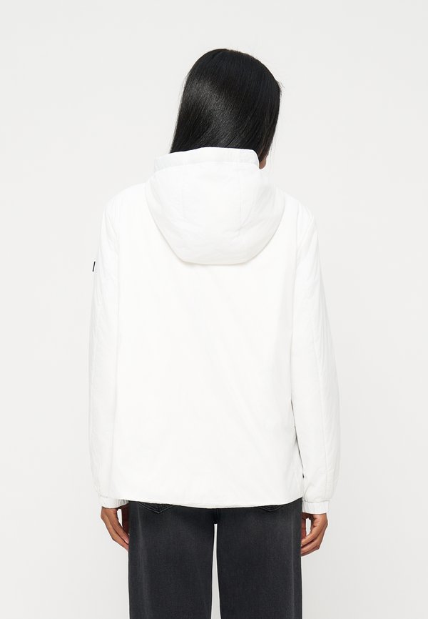 DKNY