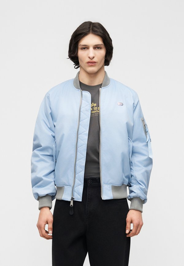 Alpha Industries WORLD LOGO