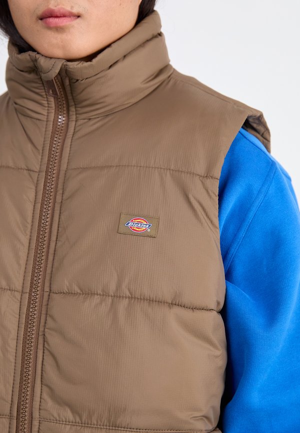 Dickies WALDENBURG VEST