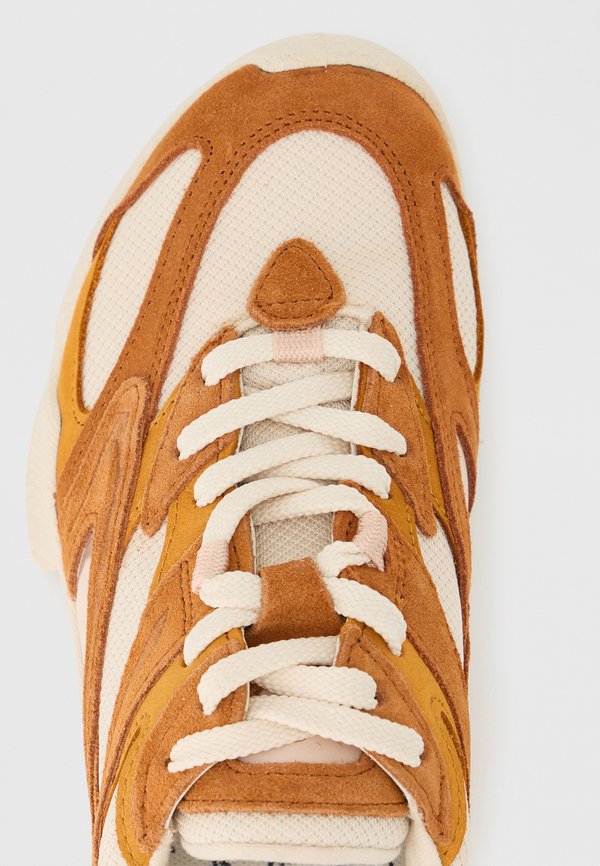 ECCO BIOM C TRAIL