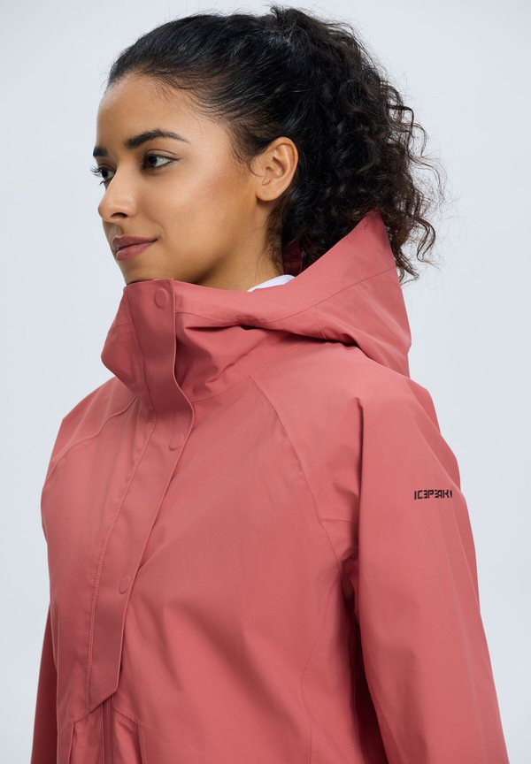 Icepeak DEBLOIS