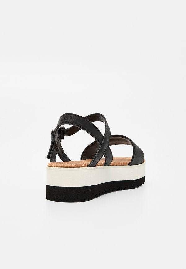 TOMS BRYNN