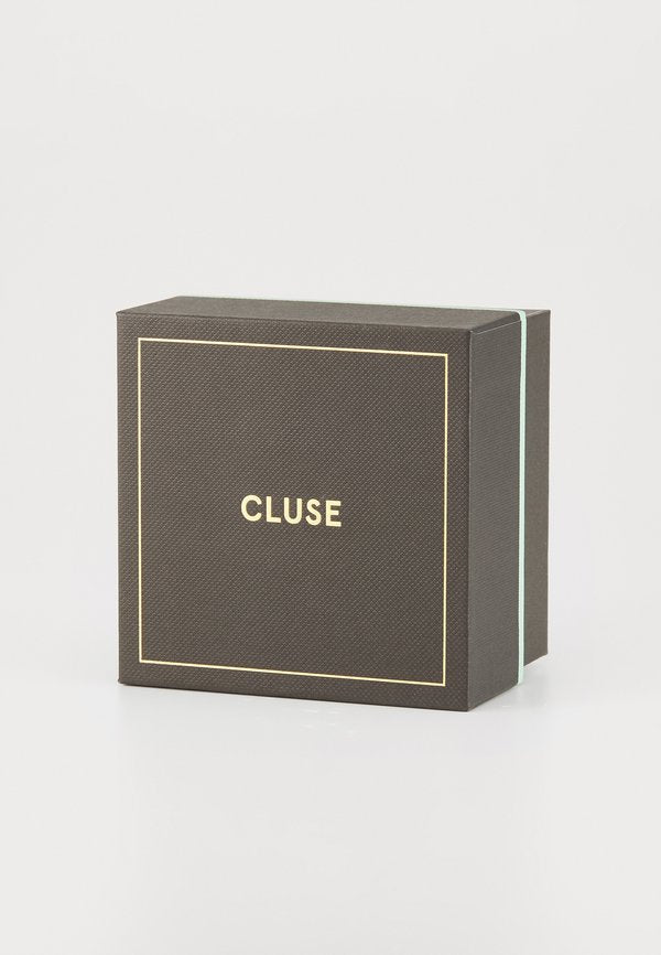 Cluse ARAVIS