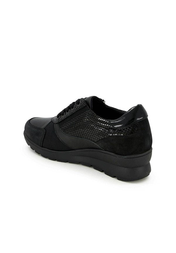 Scholl EDDA