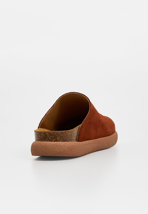 Scholl IVY