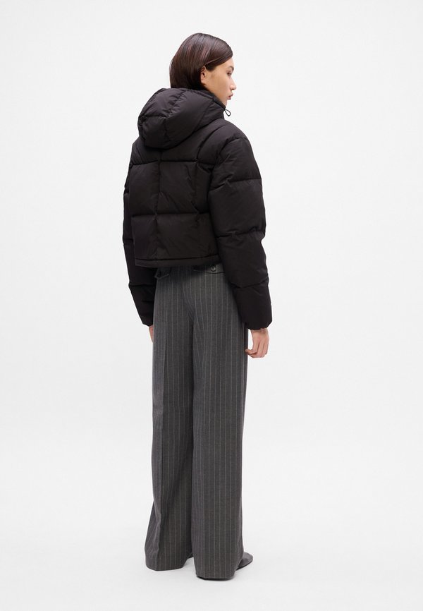 Tommy Jeans ALASKA GRID