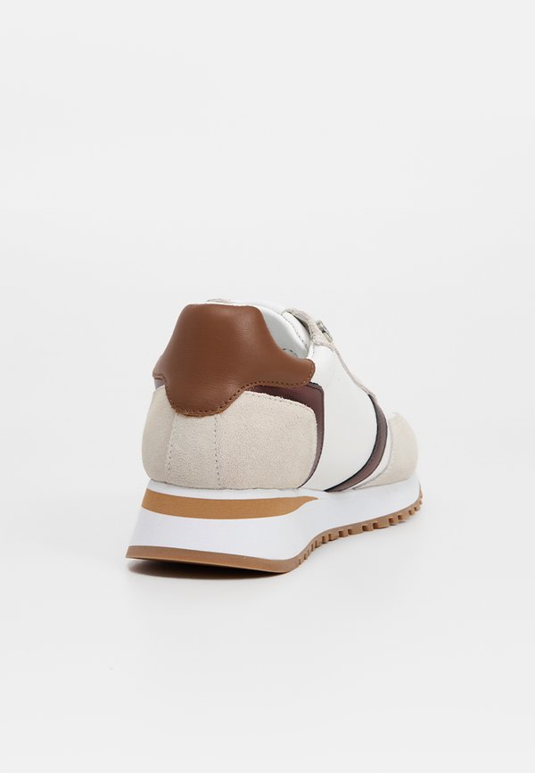 Pollini