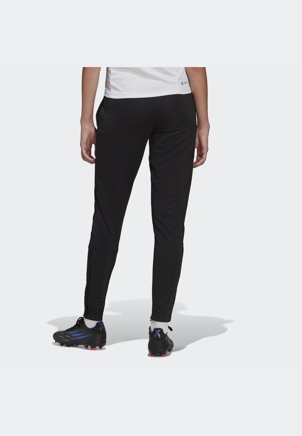 adidas Performance ENTRADA 22 TR PANT W