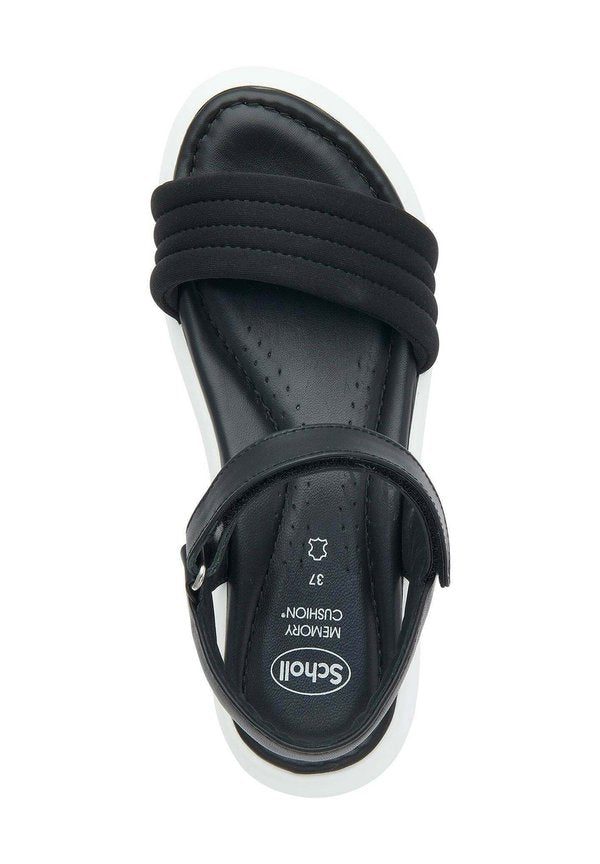 Scholl BOCA