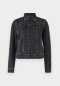 7 for all mankind ADI TRUCKER