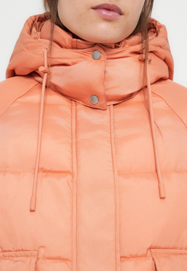 Scotch & Soda