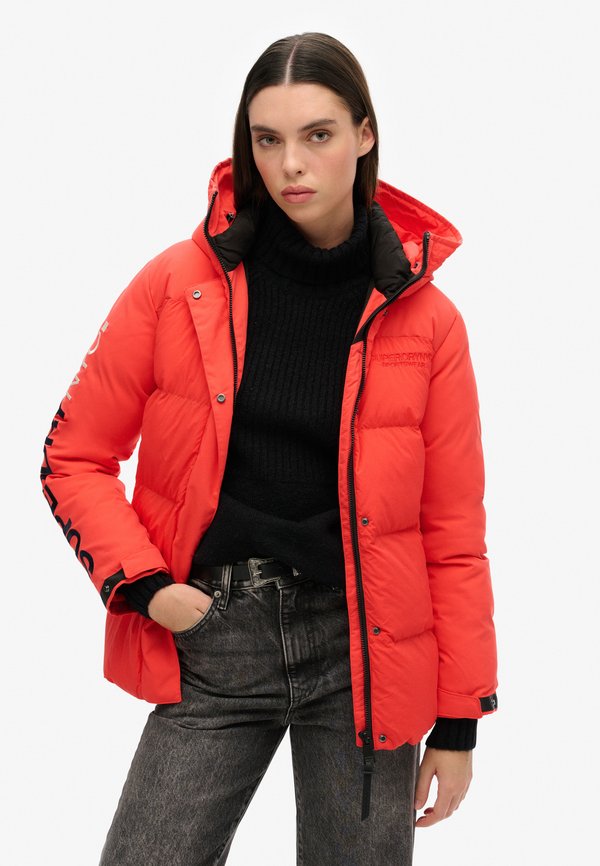 Superdry & Co HOODED CITY PADDED WIND