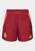 adidas Performance DFB A - National team wear - team burgundy