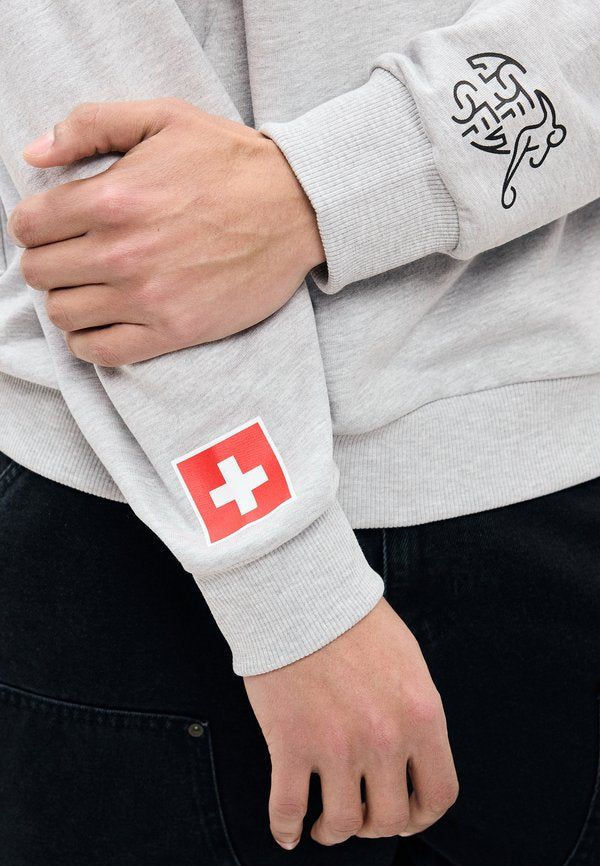 Puma SWITZERLAND SFV FTBLCULTURE RELAXED HOODIE