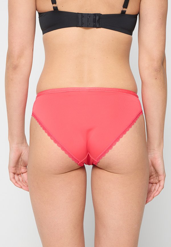 Ted Baker ZARIA 3 PACK