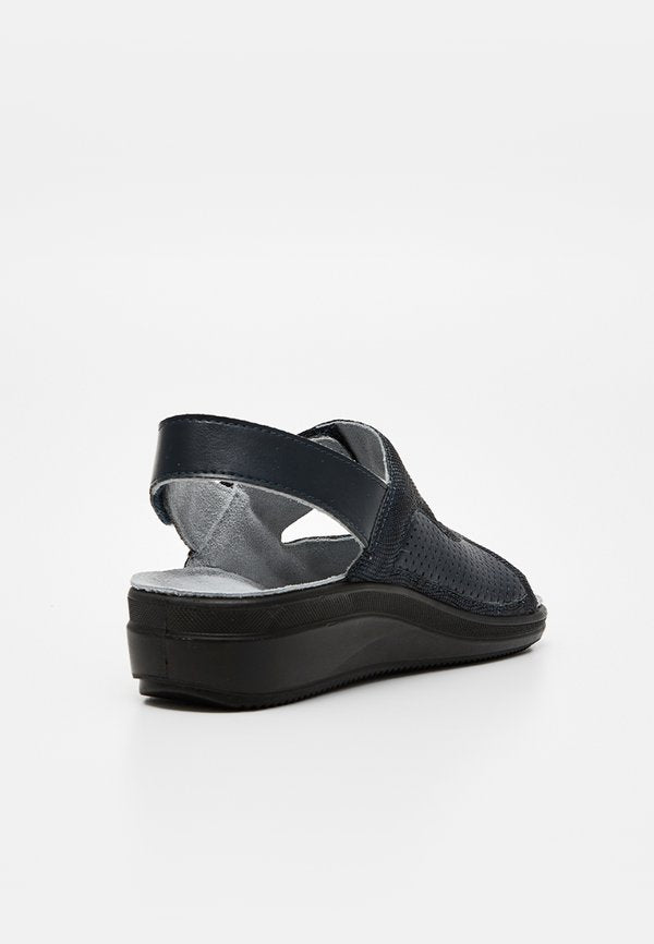 Scholl ANTONIA