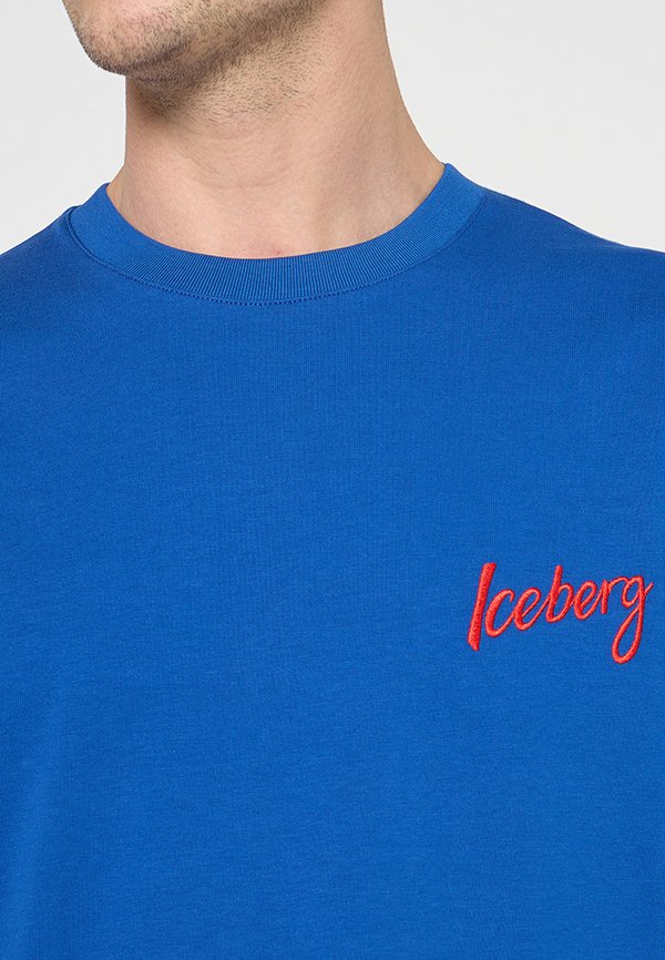 Iceberg